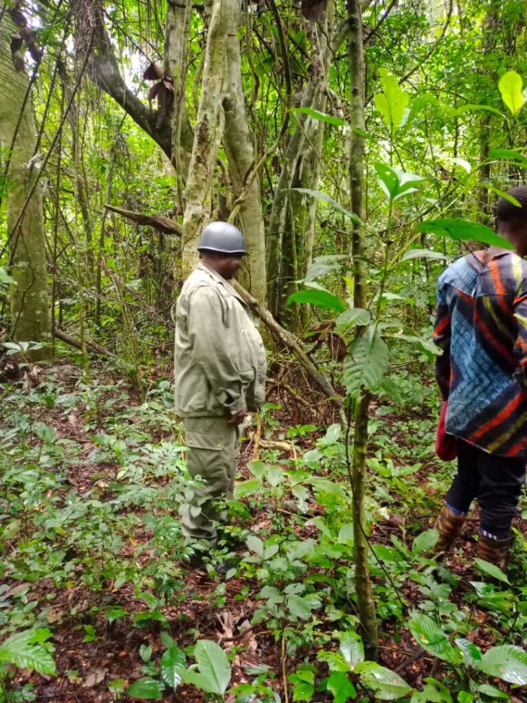 Image of men in forest